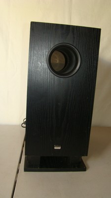 skw 100 subwoofer